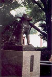 Hachiko