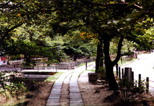 The Path of Philosophy